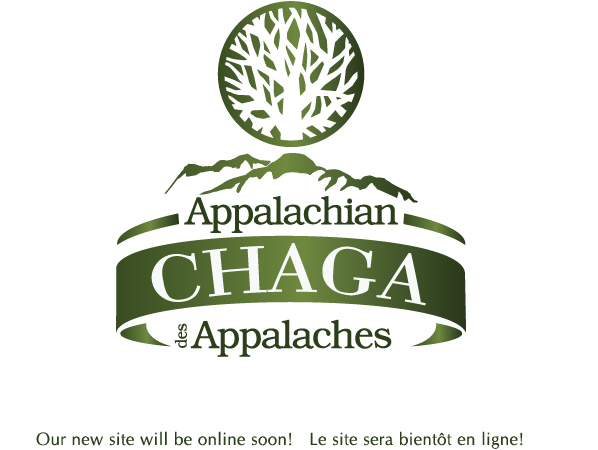 Appalachian Chaga